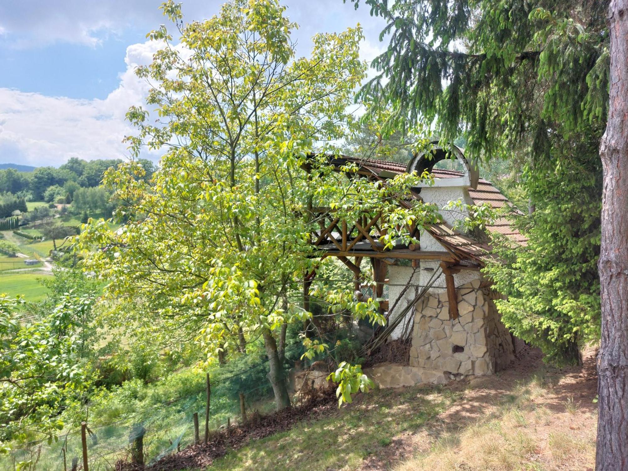 Farm stay Farma Zdrowia *